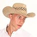 Straw Cowboy Hat Unisex Natural Straw Cowboy Stetson Hat Elasticated Fit Ref: S92