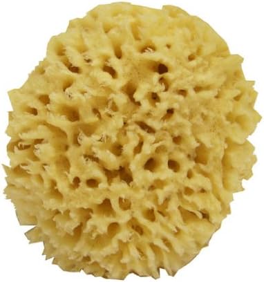 Swissco Sea Wool Natural Bath Sponge, 5 Inches