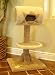 Pet Supplies : 40" Kitty Cat Tunnel Perch