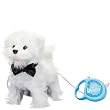 westies for sale
