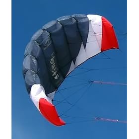 Flexifoil Sting 1.7m with Bar (Petrol)