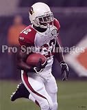 Edgerrin James Arizona Cardinals 8x10 Photo