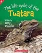 The Life Cycle of the Tuatara