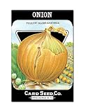 Onion Seed Packet Artwork Fridge Magnet