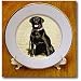 Labrador Retriever - 8 Inch Porcelain Plate