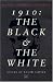 Book Roger Casement's Diaries 1910: The Black and the White