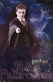 Harry Potter And The Order Of The Phoenix College Poster Print, 23x34