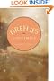 Fireflies in December (Center Point Christian Fiction (Large Print))
