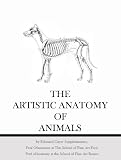 Artistic Anatomy of Animals