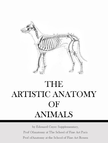 Artistic Anatomy of Animals