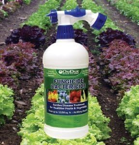 David's Garden Seeds Organic Foliar Fungicide Ready to Use Spray, 32 Ounces