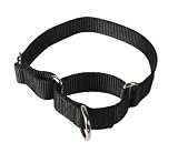 Black Medium Martingale Heavyduty Nylon Dog Collar