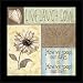 Black Framed Set of 2 Live Love Spa Flowers Art Print Poster