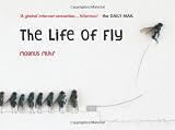 The Life of Fly