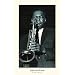 Ted Williams (John Coltrane) Music Poster Print - 24