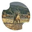 Mountain Meadow Elk Carsters, Coasters for Your Car