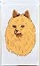 pomeranian41  - Pomeranian Outdoor Appliqued Flag 28 x 40