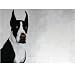 25 Pack Great Dane Note Cards by Dick Larsen