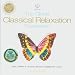 Global Classical Relaxation Experience