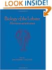 Biology of the Lobster: Homarus americanus