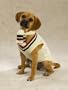 CREAM - MEDIUM - Cable Knit Varsity Dog Sweater Set