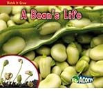 A bean's life