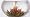 Primula Glass Tea Pot with Infuser