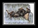 Doberman Pinscher Guard Dog - Limited Edition Art Print