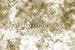 Blemishes Burns
415rXJL 7EL. SL75 Blemishes Burns