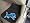 DETROIT LIONS