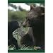 National Geographic by New Creative - Cub and Momma Large Impressions Flag