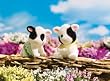 CALICO CRITTERS FRIESIAN COW FAMILY TWINS SET