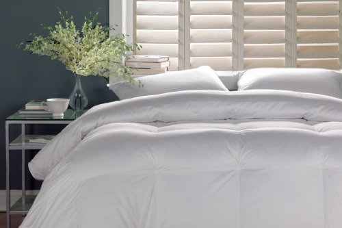 Blue Ridge Home Fashions Grand Appalachian King Down Comforter, White