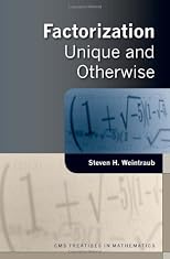 Factorization : unique and otherwise