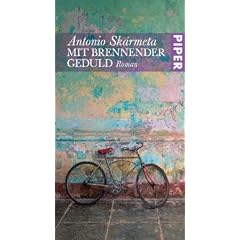 Mit brennender Geduld: Roman