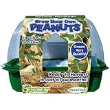  : Grow Your Own Peanuts Kit