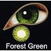 Coloured Contact Lenses with Free Solution & Case - Forest Green (1 Month)