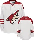 Phoenix Coyotes NHL Rocks Glass & Square Shot Glass Set - Primary Logo