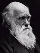 On the origin of species by means of natural selection,: Or, The preservation of favoured races in the struggle for life