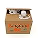 OliaDesign Cute Automatic Stealing Coin Money Box