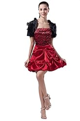 Strapless Sleeveless Satin/Silk Wrap Feathers Evening Dress 