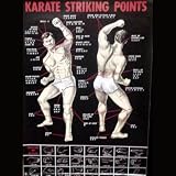 Karate Striking Points Posters