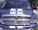 Dodge Ram Rally Stripe Stripes Set Fit All Dodge Car And Truck Pick your color Maid with 7 Year performance Vinyls
