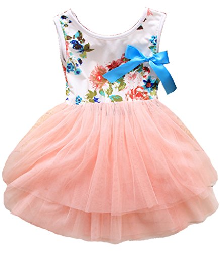 Kids Girls Princess Rose Garden Flower Petal Lace Ruffled Tulle Skirts Dresses
