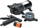 Flojet Water Jet Quad II Washdown Pump Kits 4305144L 12V Water Jet Washdown Pump