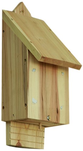 Beckmann WWG Fledermaus-Haus Preisvergleich