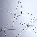 静脈（初回限定盤A）