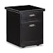 Kathy Ireland Home by Martin Furniture Tribeca Loft 2 Drawer Mobile Wood File Storage Cabinet in Black