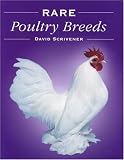 Rare Poultry Breeds