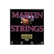 Martin M400 Mandolin Strings